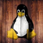 The Story Behind Linux’s Penguin Mascot